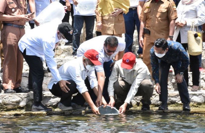 ikan-bilih-2